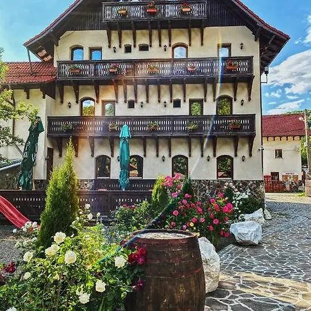 Guest house Pensiunea Manidum 2*