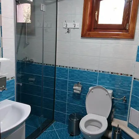 Pensiunea Manidum 2* Busteni